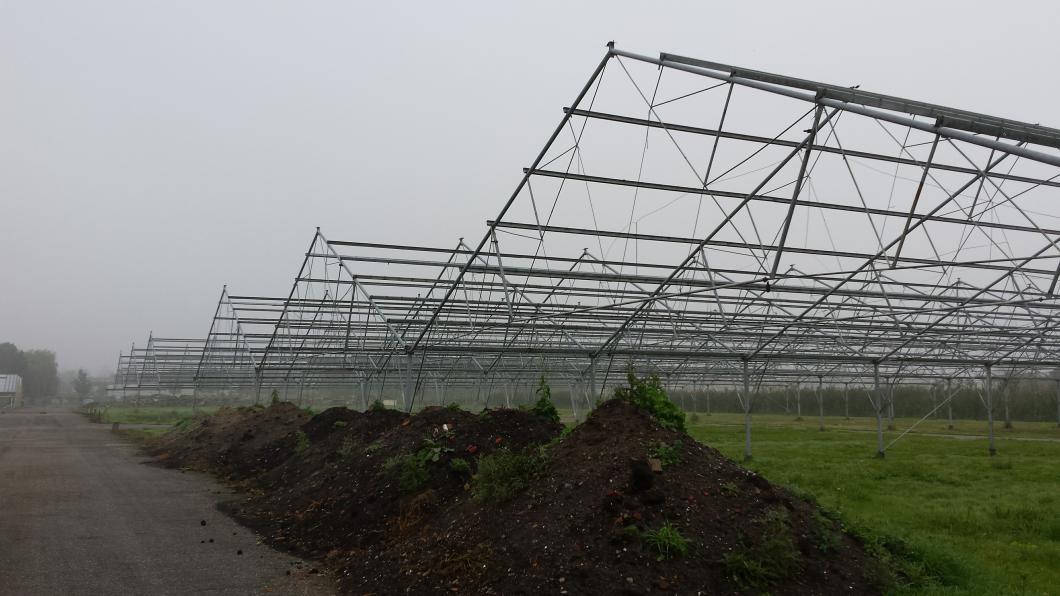 Einde van Stallingsbedrijf Glastuinbouw Nederland Rijsenhout