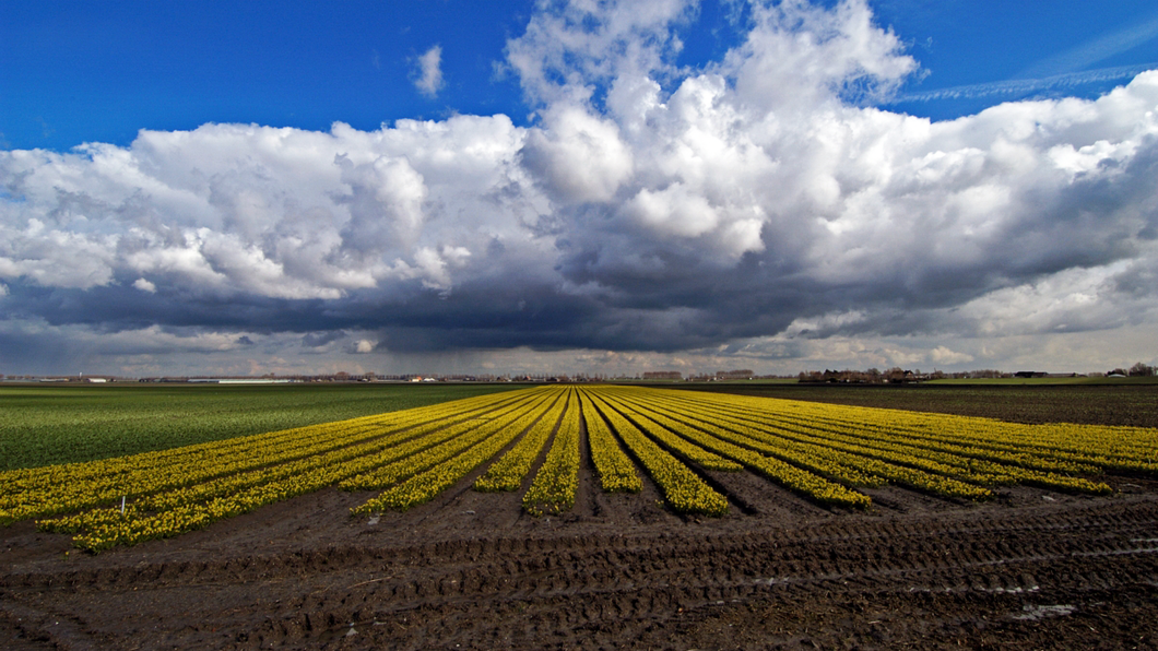 Haarlemmermeer in zwaar weer door investeringsdrift en bestuurscultuur