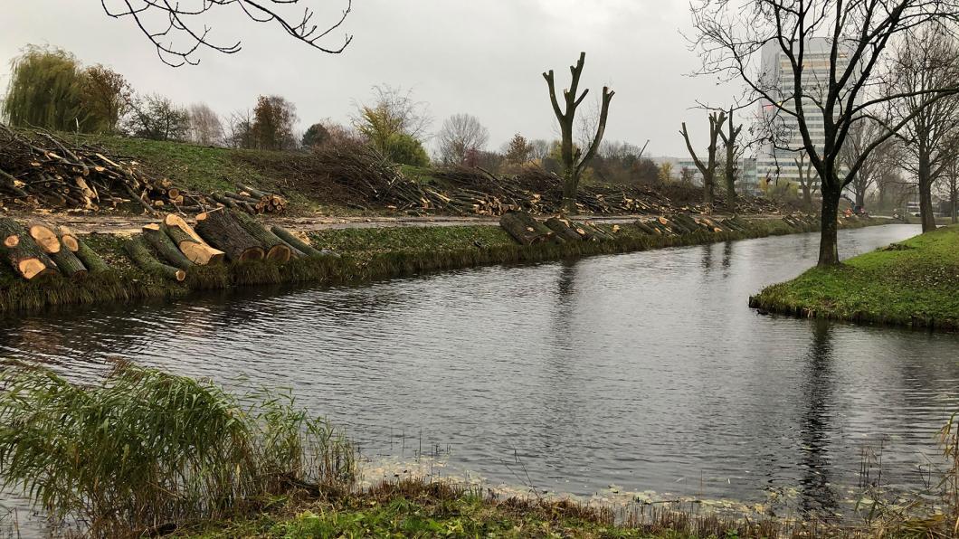 GroenLinks rouwt om kaalslag Geniedijk en vraagt opnieuw actie