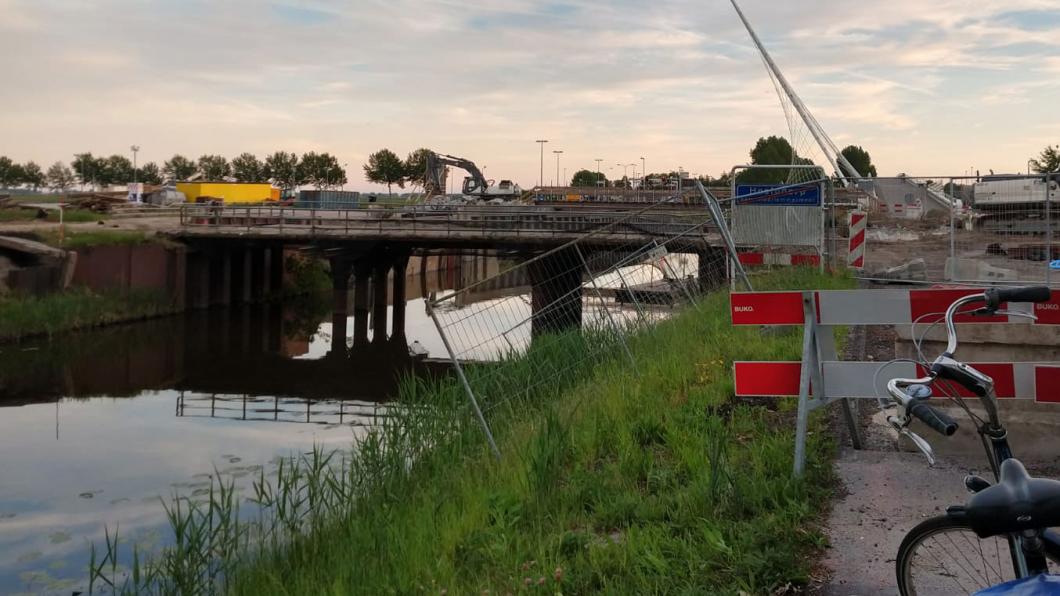 Broedende Zwaluwen in de knel