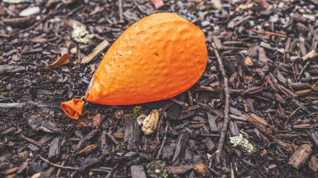 verbied het oplaten van ballonnen bij evenementen en festiviteiten