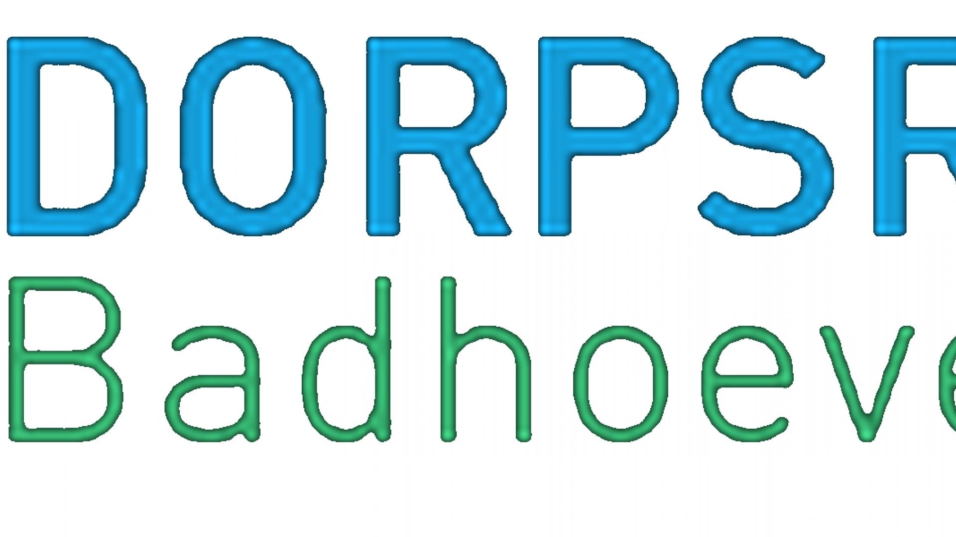 Dorpsraad